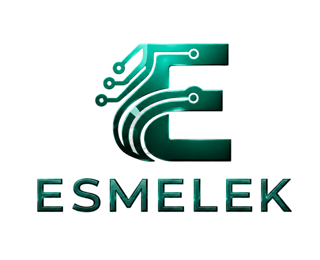 ESMELEK SOLUTIONS